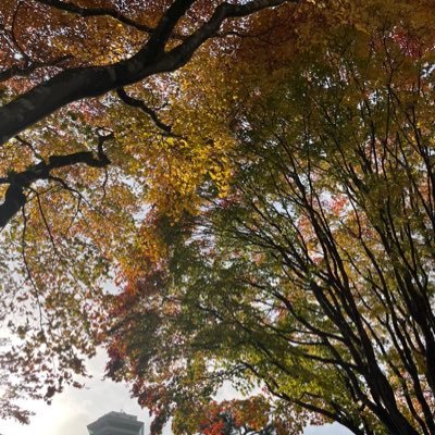 rakko0417's profile picture. ラムネ美味しい なにか適当につぶやくだけ 、ゲームのことも言うかもなぁ