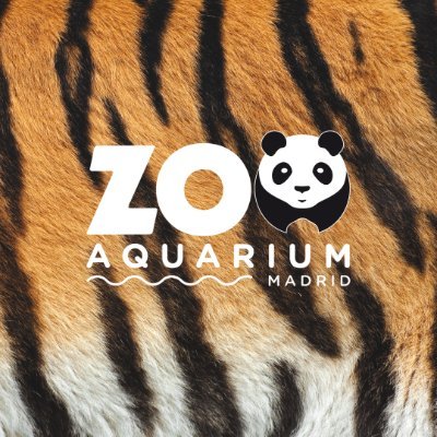 Disfruta en el Zoo Aquarium de Madrid de más de 1.300 animales de 333 especies diferentes.