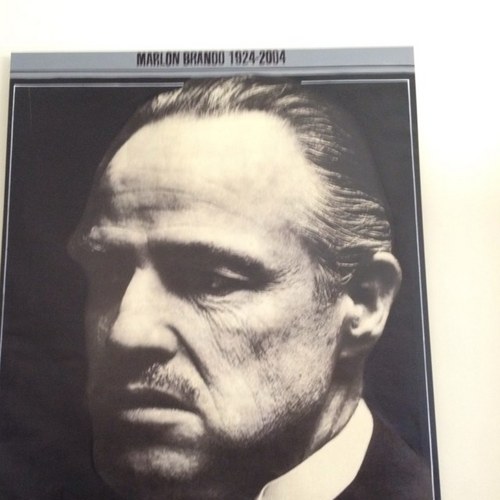 renecastillo00's profile picture. 