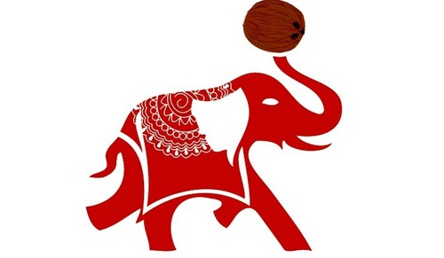 Kelapo's profile picture. Kel-a-poe 🐘 We're Coconuts! 🥥 We’ve always harvested the freshest coconut oil and now we’ve added grass-fed ghee to the mix!