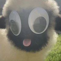 略略略 (@fuyuyuyu071240) 's Twitter Profile