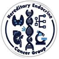 Hereditary Endocrine Cancer Group @CNIOStopCancer(@Endocrine_CNIO) 's Twitter Profile Photo