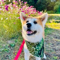 kazu (@kazu93267242) 's Twitter Profile Photo kazu (@kazu93267242) 's Twitter Profile Photo