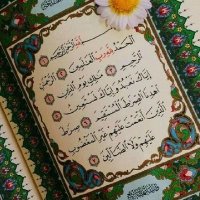 ❤️أم يحيى❤️ (@omanibr88037135) 's Twitter Profile Photo