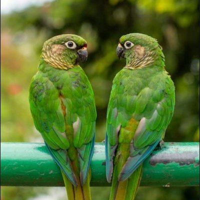 utjili's profile picture. Form Jili, Kano. Nigeria