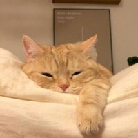 •ᴘɴᴍ ˓♡◞ (@realpnm) 's Twitter Profile Photo •ᴘɴᴍ ˓♡◞ (@realpnm) 's Twitter Profile Photo