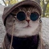 MOSQUITOCANDANGA (@avephoenice) 's Twitter Profile
