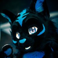 Joey is now on Blue☁️ (@kittypupjoey) 's Twitter Profile Photo Joey is now on Blue☁️ (@kittypupjoey) 's Twitter Profile Photo