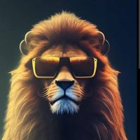 KAAN (@kaanakyol32) 's Twitter Profile