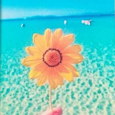 yFNiFgrTor87660's profile picture. 