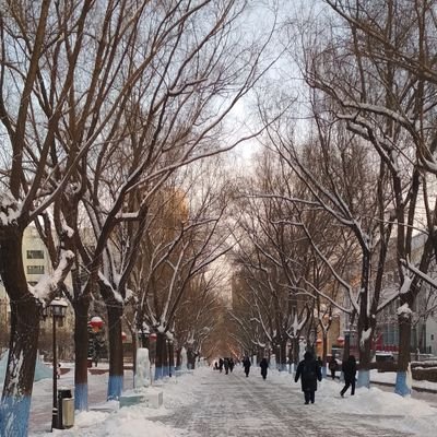 Farhan93936493's profile picture. 