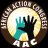 AACYenagoa's profile image