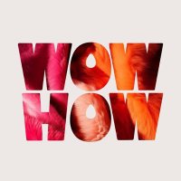 WOW! HOW? (@wow_how_1) 's Twitter Profile Photo WOW! HOW? (@wow_how_1) 's Twitter Profile Photo