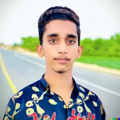 rao_ali_raja07 Profile Picture