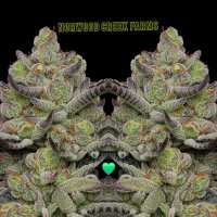 #NorwoodCreekFarms🌲🔥(@FlavorsOnlyyy) 's Twitter Profile Photo