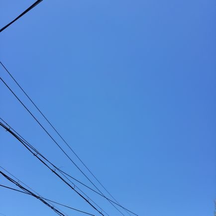 안녕하세요! 체리 입니다
저는 원도어 사이 제로즈 캐럿 시즈니 브리즈 등 많은 아이돌을 좋아합니다
저랑 친해져요!