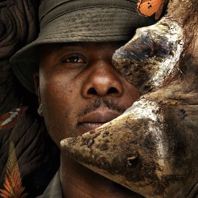 A documentary about the brave field rangers who risk their lives to protect South Africa's rhinos and the movement to support them.