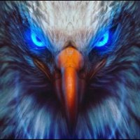 Edwin Serrano (@kakman72) 's Twitter Profile