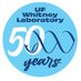 Whitney Laboratory (@Whitney_Lab) Twitter profile photo