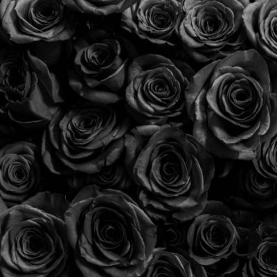 helena_u_'s profile picture. 