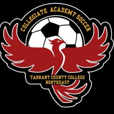 Official Twitter account of Collegiate Academy Men’s Soccer.