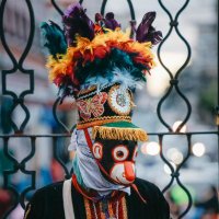 El Mico de los Moros (@elmico502) 's Twitter Profile