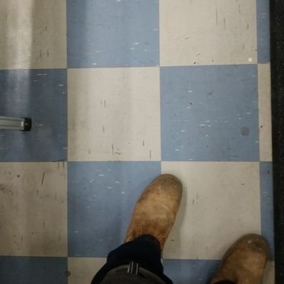 RidoutShaun's profile picture. Family man, builder, boxing fan, motorcycle enthusiast. Loves German shorthaired pointers