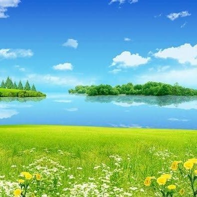 Tsg16's profile picture. 