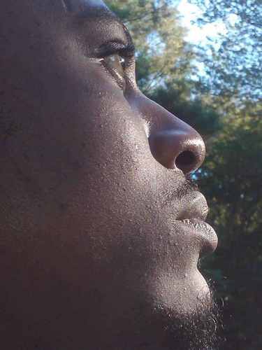 LG_TOL's profile picture. 