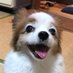 コヲ志\( 'ω')/ (@nkohji_54) Twitter profile photo コヲ志\( 'ω')/ (@nkohji_54) Twitter profile photo
