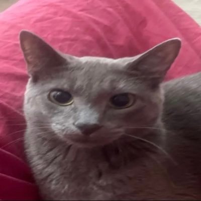 kill_ack's profile picture. i win