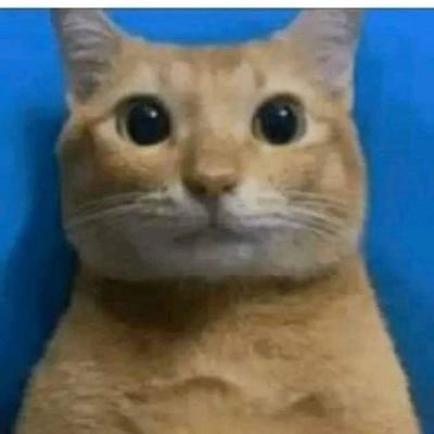 dsalg0's profile picture. 