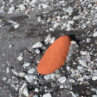 Stinkefinger (efe) (@fehr_erich) 's Twitter Profile