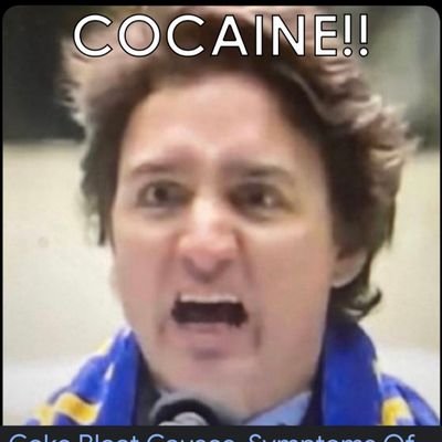 Tired of all the Liberal corruption and incompetence.

Husband, Father, Brother, Uncle & Son.

Blue Collar Tradesperson.
Working Poor.

#TrudeauMustGo