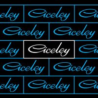 Ciceley Commercials Ltd(@CiceleyMercedes) 's Twitter Profile Photo