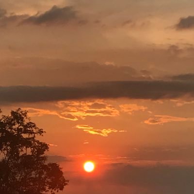 MarcellyDias_'s profile picture. ♈ Paraense❤ Viva la vida🍃