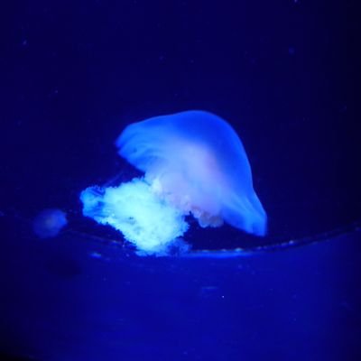 na25e0423's profile picture. 25↑ 雑食腐／雑多枠／🥷🥚🔰／無言フォロー失礼します。