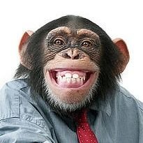 TatarTsar's profile picture. 