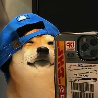 chnxuy773264900's profile picture. 破解版VPN，速度快，有需要的可以加我Q：1397293051