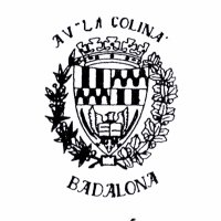 AVV LA COLINA (@avvlacolinabdn) 's Twitter Profile