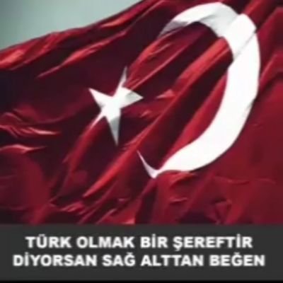 sevimgulterler's profile picture. Her şerde bir hayır vardır

🇹🇷🇵🇸🇹🇷🇹🇷🇹🇷🇹🇷
