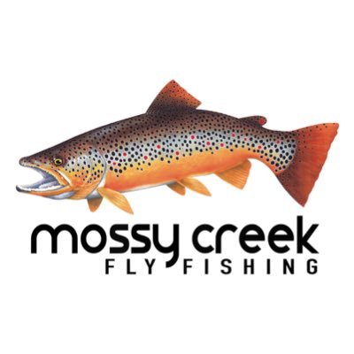 Virginia's premier fly fishing shop. The States largest fly fishing schools and freshwater guide service. Trophy trout, smallmouth bass, carp, & musky