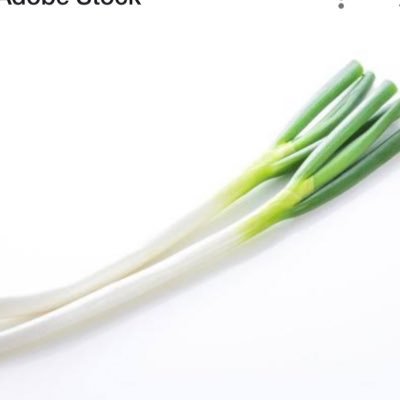 neginegigingin's profile picture. 