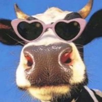 J (@jotavicio) 's Twitter Profile Photo J (@jotavicio) 's Twitter Profile Photo