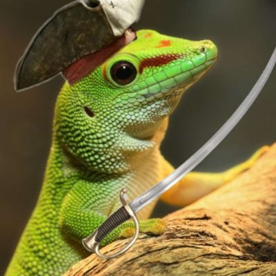 Captain Gecko