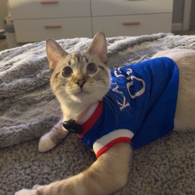 lnarges13's profile picture. 