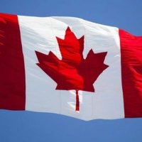 Peggie Fitzpatrick🇨🇦 (@peggiefitzpat17) 's Twitter Profile