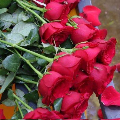 asimgill381's profile picture. Professor,Solar Energy, Solar cooling, Building Energy and cooling systems in Pakistan , Pakistan Energy systems( CPEC a good opportunity to develop and grow)