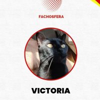 Victoria (@javivictorio) 's Twitter Profile