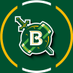 Belhaven Blazers (@BelhavenBlazers) Twitter profile photo